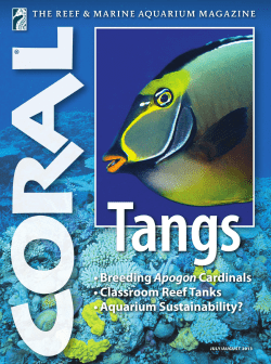 Read the article about our program in Coral Magazine.