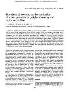 The effects of axotomy on the conduction of action potentials