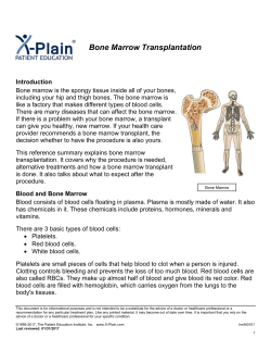 Bone Marrow Transplantation - Patient Education Institute