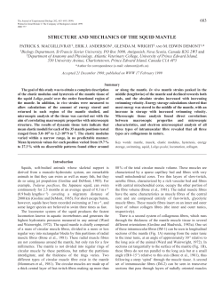 Structure and mechanics of squid mantle