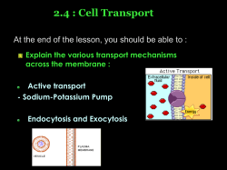 Active transport - study