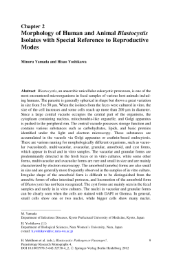 Sample pages 2 PDF