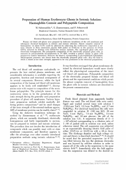 Preparation of Human Erythrocyte Ghosts in Isotonic Solution