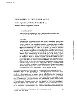 FRACTIONATION OF THE NUCLEAR MATRIX I. Partial Separation