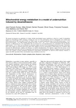 Mitochondrial energy metabolism in a model of undernutrition