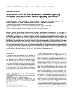 Savchenko et al Plant Cell 2010