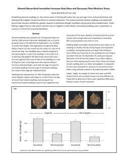 Almond Study - Drought Resistance