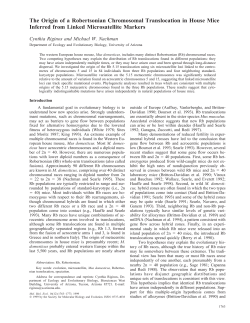 The Origin of a Robertsonian Chromosomal Translocation in House