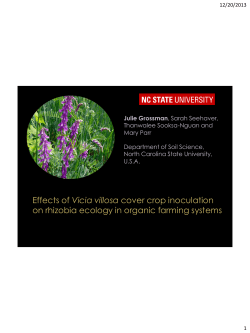Effects of Vicia villosa cover crop inoculation on rhizobia ecology in