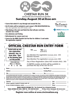 Cheetah Run 15 Flyer