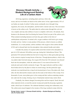 Life of a Carbon Atom