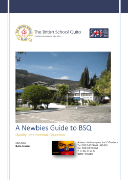 A Newbies Guide to BSQ