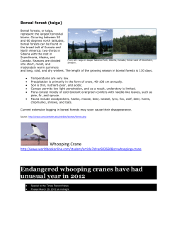 Boreal forest (taiga) - Whitman Middle School