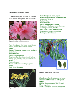 Plants Poisonous to Livestock