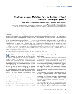 The Spontaneous Mutation Rate in the Fission Yeast