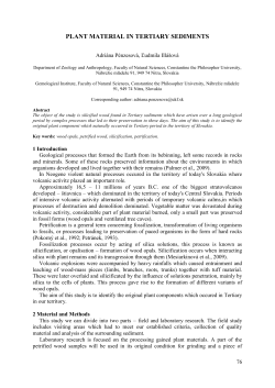plant material in tertiary sediments - Conference system