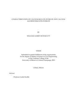 CHARACTERIZATION OF CALCIUM-SILICATE