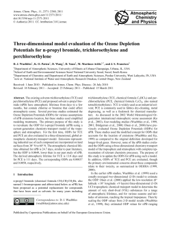 Three-dimensional model evaluation of the Ozone Depletion