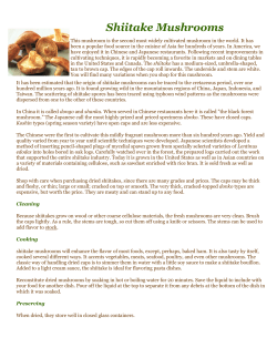 Shiitake Mushrooms - Anthony`s Original Produce