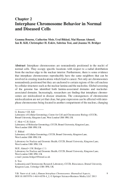Interphase Chromosome Behavior in Normal and Diseased Cells