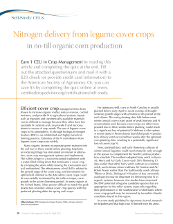 in no-till organic corn production