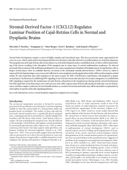 Stromal-Derived Factor-1 (CXCL12) Regulates Laminar Position of