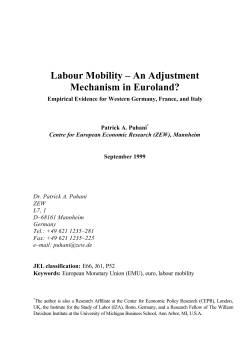 Labour Mobility &ndash; An Adjustment Mechanism in Euroland?