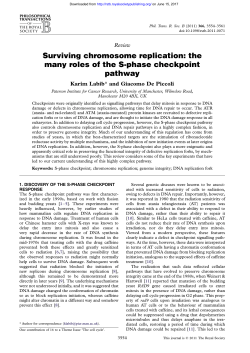 Surviving chromosome replication: the many roles of the S