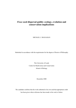 PDF - Under The Banyan