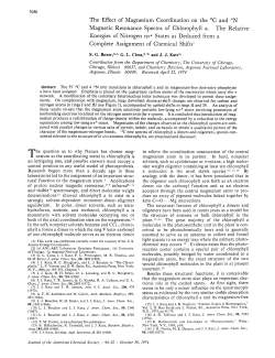 Effect of magnesium coordination on the carbon-13 and nitrogen