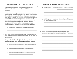 DNA/Macromolecules Evidence