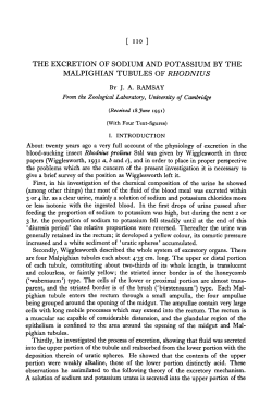 the excretion of sodium and potassium by the malpighian tubules of