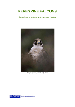 Guidelines on urban nest sites and the law
