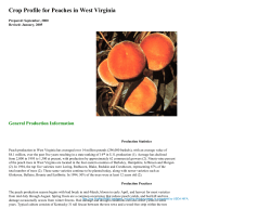 Crop Profile for Peaches in West Virginia
