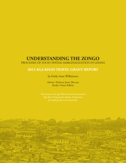 understanding the zongo