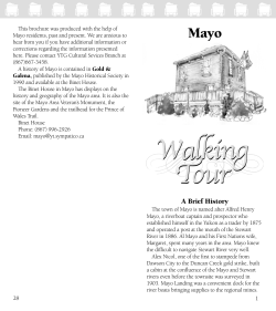 Mayo