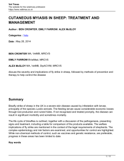 cutaneous myiasis in sheep: treatment and management