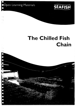 The Chilled Fish Chain - Seafood Training Academy