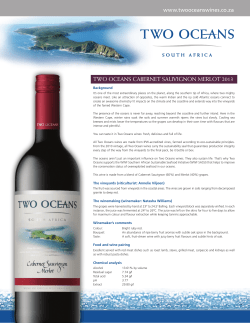 TWO OCEANS CABERNET SAUVIGNON MERLOT 2013