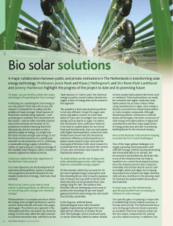 Bio solar solutions