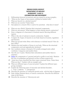 Class XI Biology Locomotion and Movement