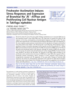 Freshwater Acclimation Induces Stress Responses and Expression