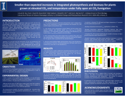 Smaller than expected increases in integrated photosynthesis and