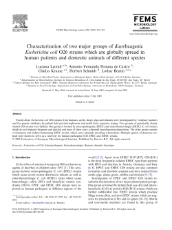 Characterization of two major groups of diarrheagenic Escherichia