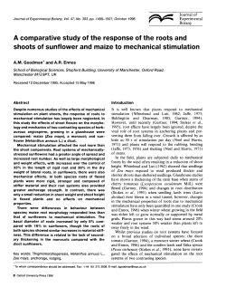 A comparative study of the response of the roots