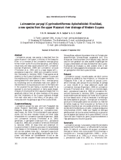 Laimosemion paryagi (Cyprinodontiformes