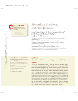 Mycorrhizal Symbioses and Plant Invasions