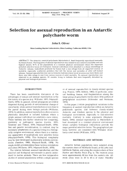 Selection for asexual reproduction in an Antarctic polychaete worm
