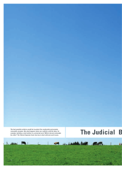 The Judicial Branch
