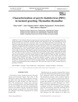 Characterization of perch rhabdovirus (PRV) in farmed grayling